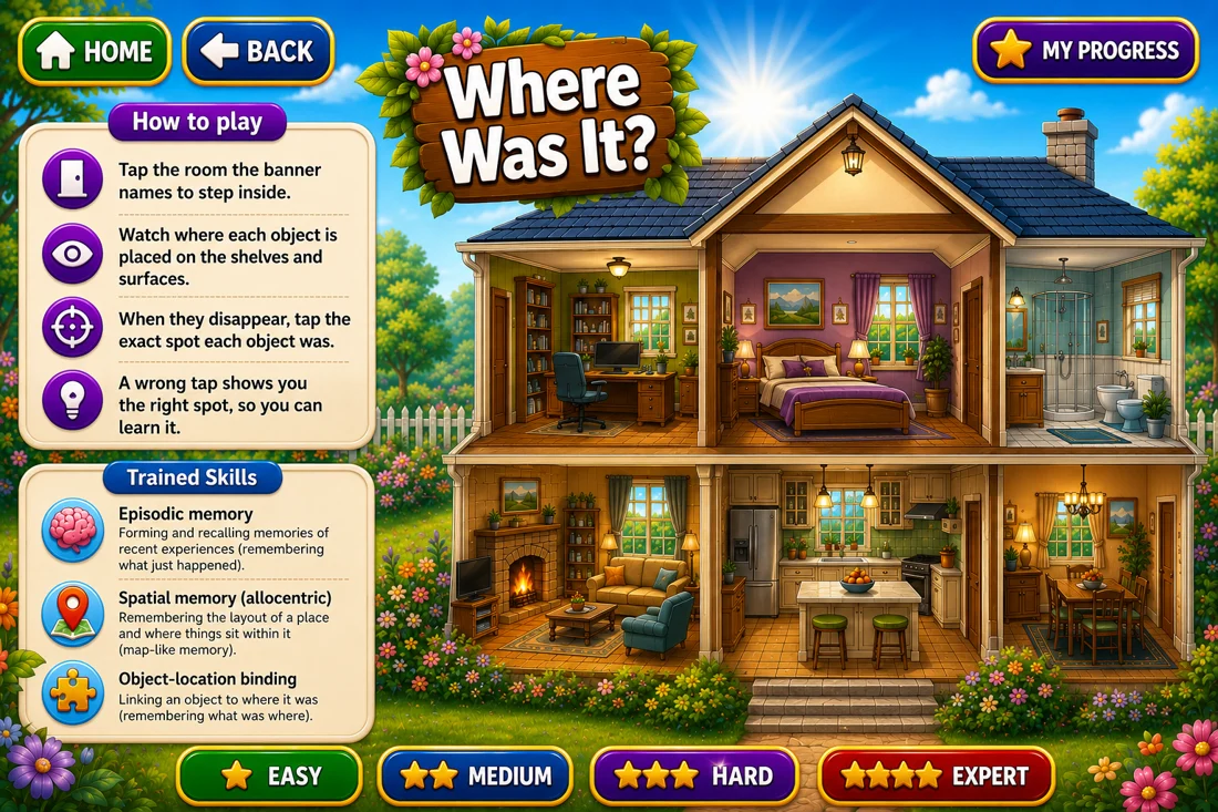 Mind Sage — Where Was It?